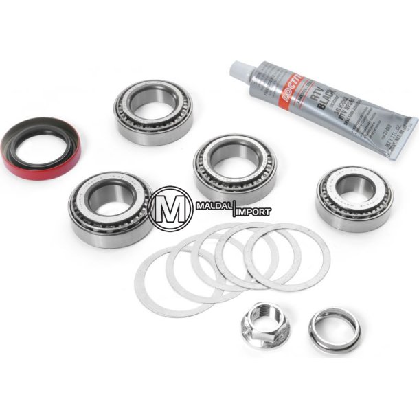 (30) Lagerkit piniong + diff dana 35