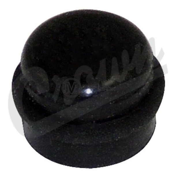 Cap Bleeder Screw