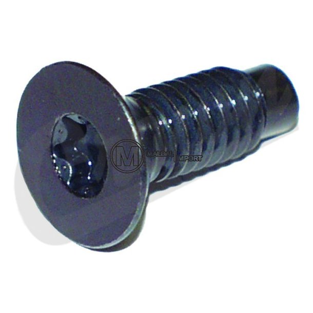 Windshield Frame Screw