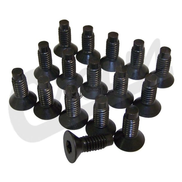 Windshield Frame Screw Kit