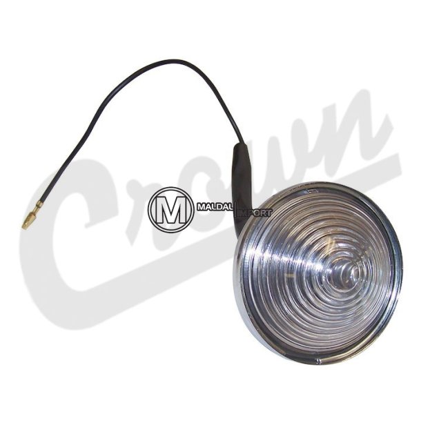 Back Up Light