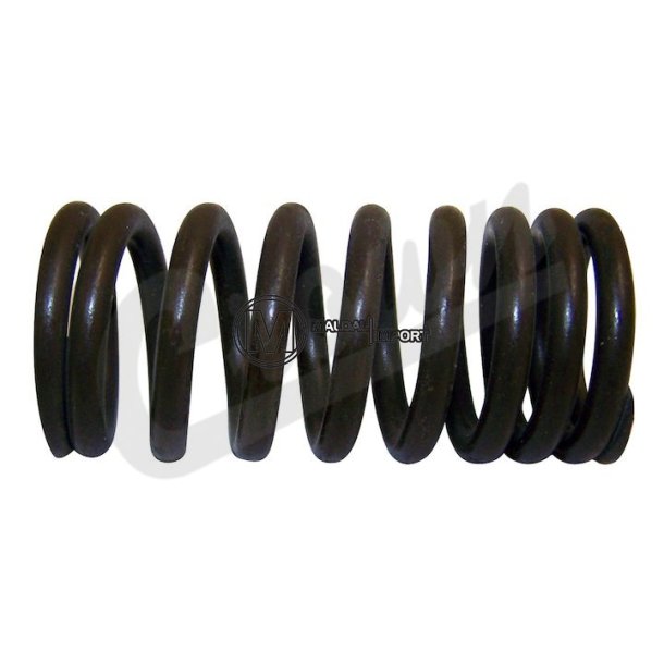 Valve Spring