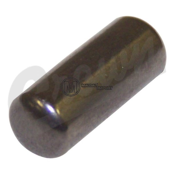 Input Shaft Bearing