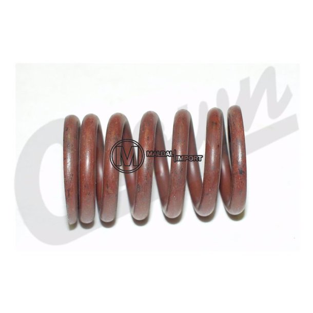 Valve Spring
