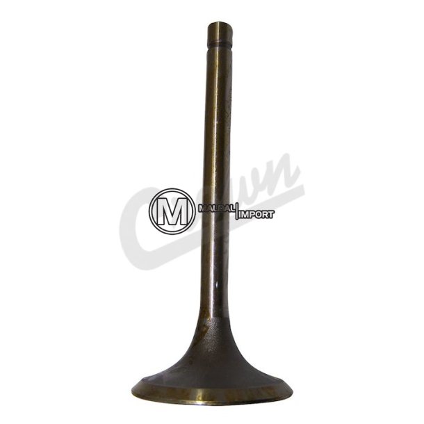 Intake Valve