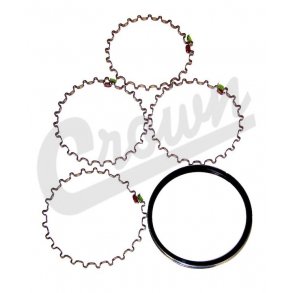 Piston Ring Set