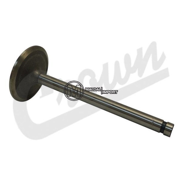 Intake Valve