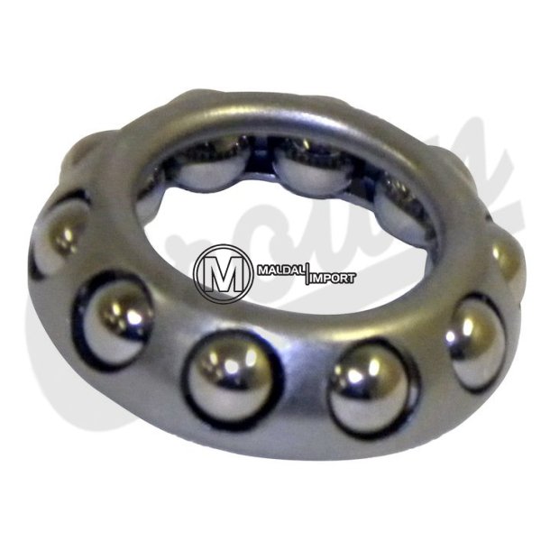 Worm Shaft Bearing