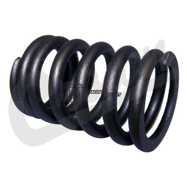 Valve Spring