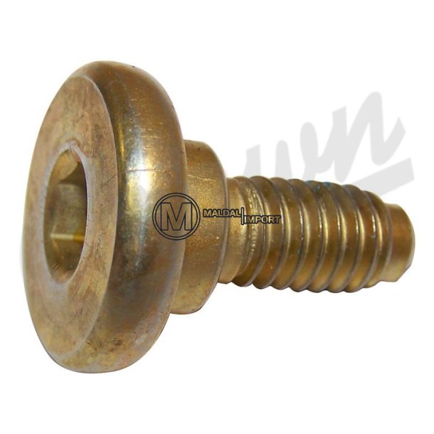 Brake Caliper Screw