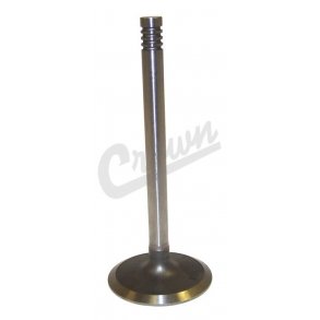 Intake Valve