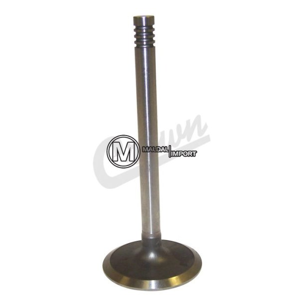 Intake Valve