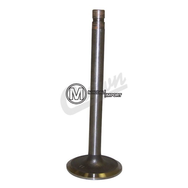 Intake Valve