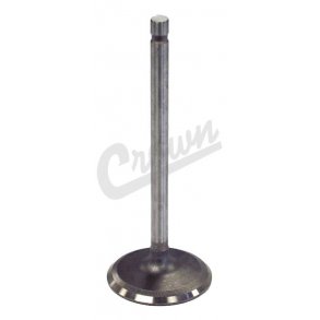 Intake Valve