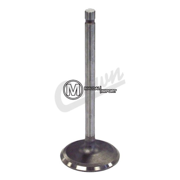 Intake Valve