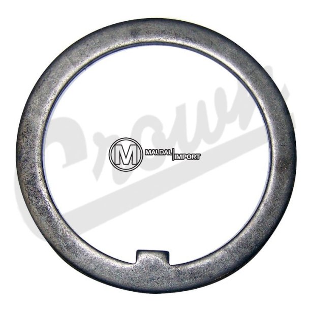 Thrust Washer