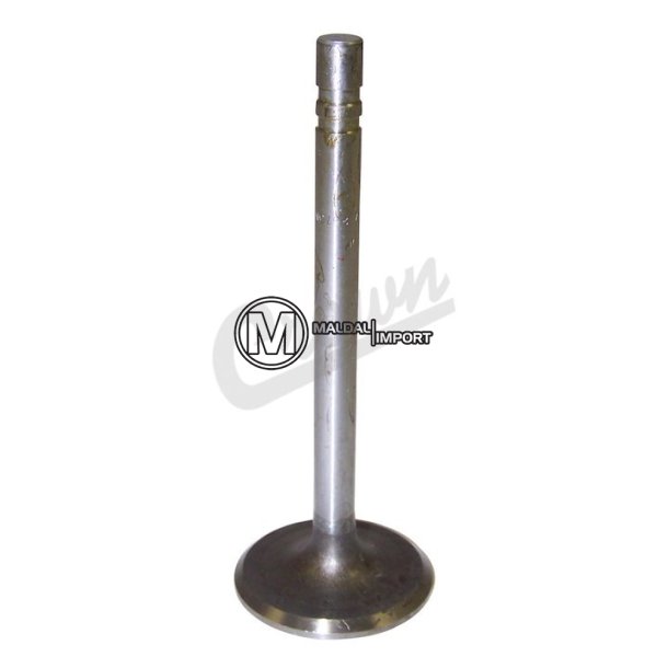 Intake Valve