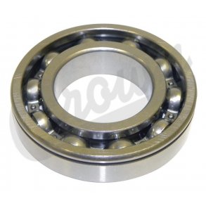 Input Shaft Bearing