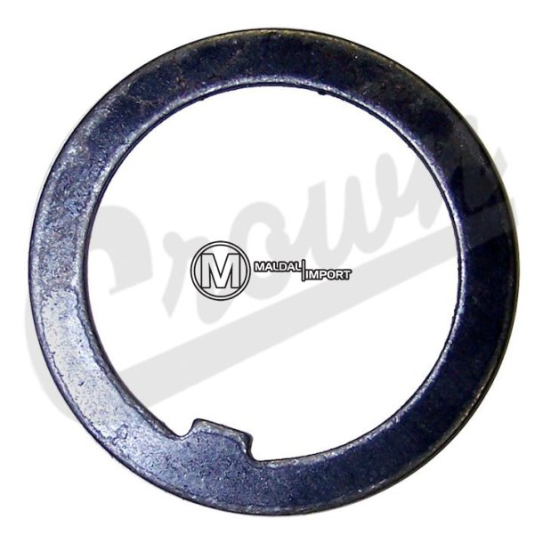 Thrust Washer