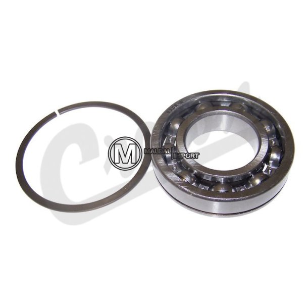 Input Shaft Bearing