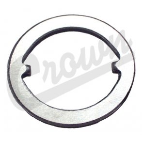 Thrust Washer