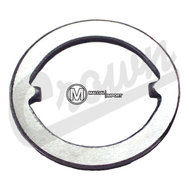 Thrust Washer