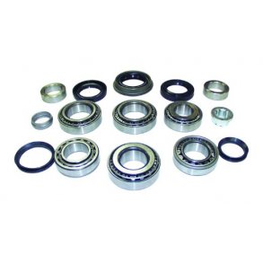 (28) MASTER OVERHALINGSKIT DANA 35 WJ